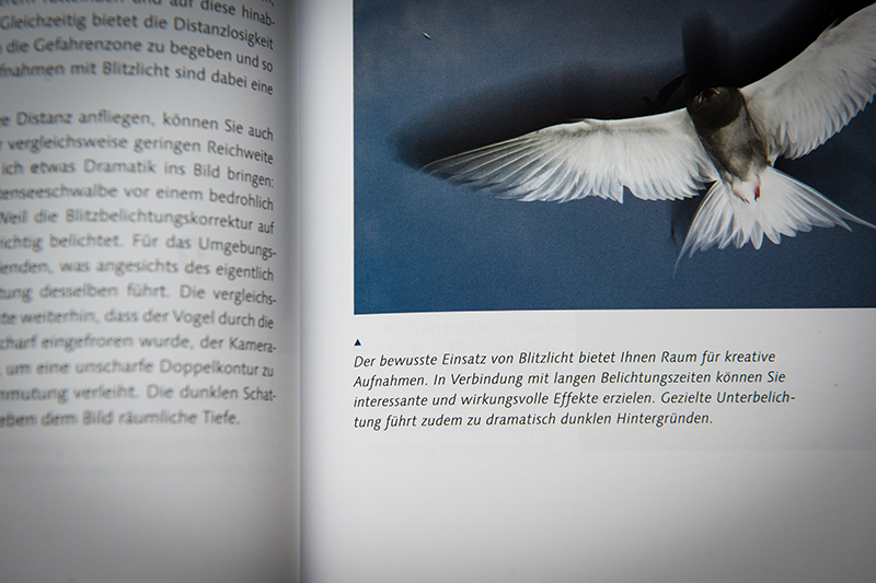 fotoschule01