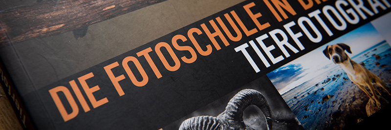 fotoschule02
